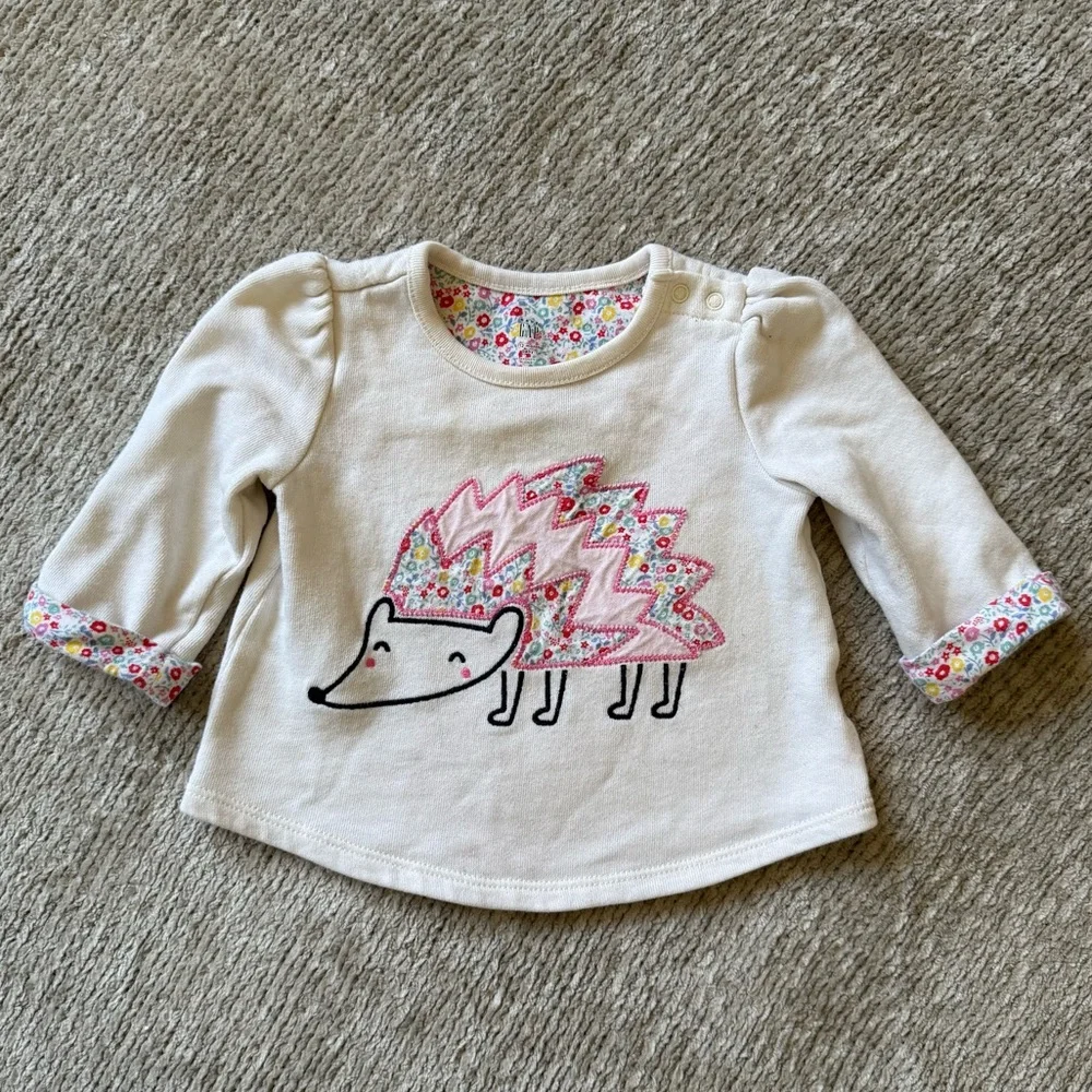 Baby Gap Hedgehog Graphic Top Floral Trim Long Sleeve Shirt 6-12‎ Months